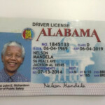 Alabama Id ID Card Experts Driver License Online Drivers License