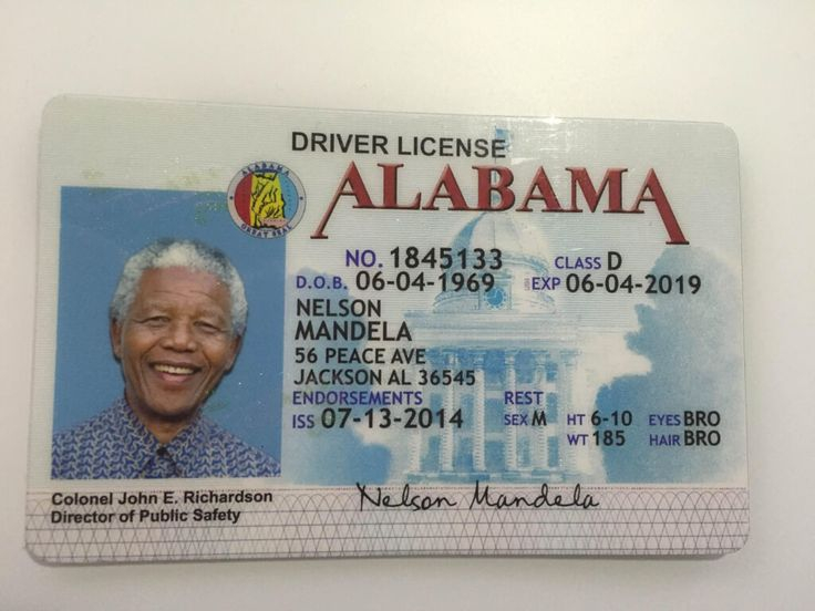 Alabama Id ID Card Experts Driver License Online Drivers License 