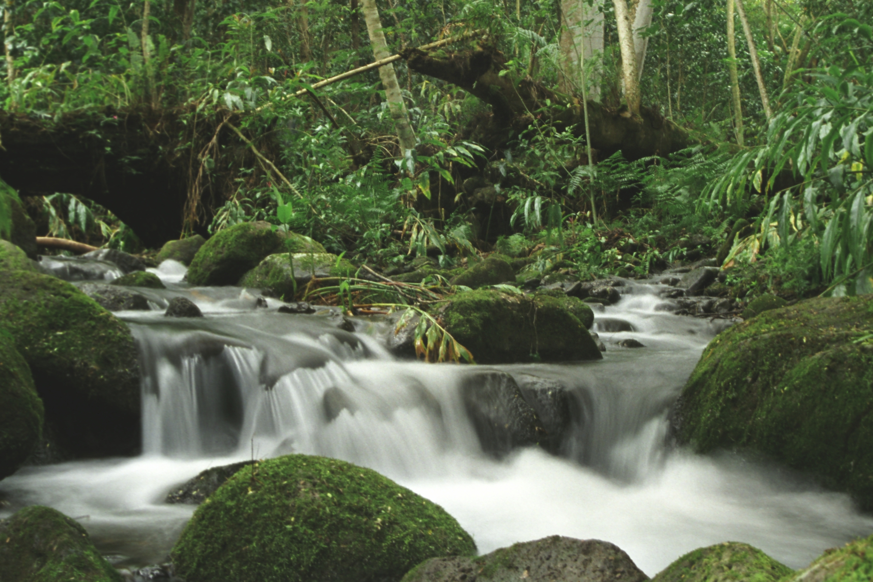 Commission On Water Resource Management