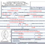 Complete Ds 82 Form Online PrintableForm Printable Form 2021