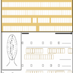 DS 11 Form D O Dep Dots Printable Form 2022