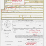 DS 11 Form To Get Passport PrintableForm Printable Form 2022