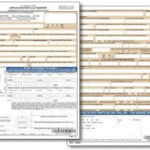 DS 11 New Passport Application Form