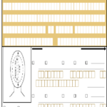 Fill Free Fillable Us passport application form ds 11 DS 11