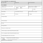 Form DS 234 Download Fillable PDF Or Fill Online Special Immigrant Visa