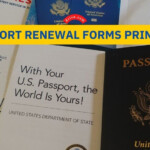 Form I9 Fillable 2023 USCIS Forms Zrivo