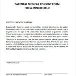 FREE 22 Medical Consent Forms In PDF Ms Word