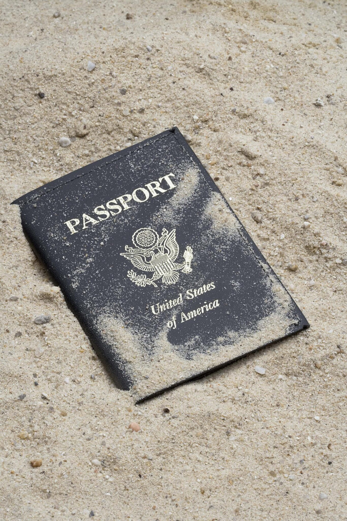 online form for lost passport