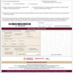 Mexico Updates Its Immigration Forms For 2021 Chapala Law Spencer s