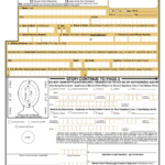 Passport Application Fillable Printable Online PDF Sample