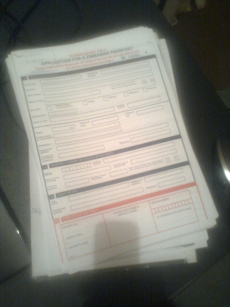 Passport Application Form Zimbabwe Printableform Printable Form 7 768x1024 