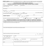 Passport Declaration Form 2 Free Templates In PDF Word Excel Download