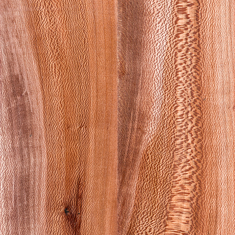 Quarter Sawn Sycamore