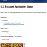 United States Passport Application Ds 82