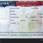 Us Passport Application