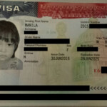 What Is Passport Travel Document Number In Ds 160